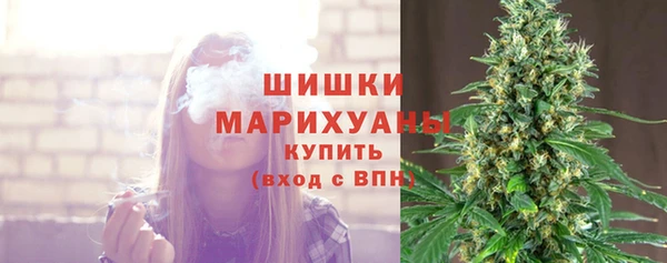 дживик Верея